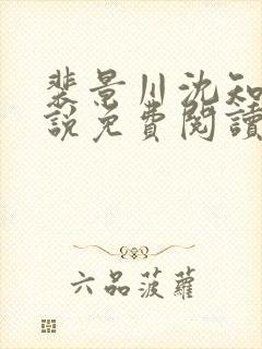 裴景川沈知意小说免费阅读最新章节