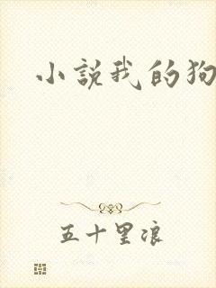 小说我的狗丈夫