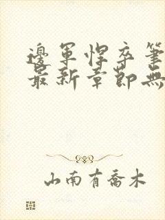 边军悍卒笔趣阁最新章节无弹窗