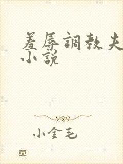 羞辱调教夫妻奴小说