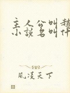 主人公叫赵旭的小说名叫什么