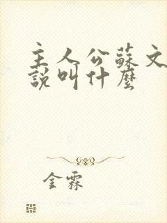 主人公苏文的小说叫什么