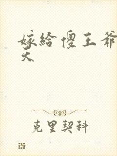 嫁给傻王爷宠上天