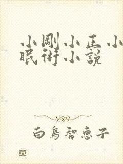 小刚小正小柔催眠术小说