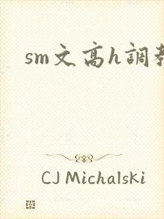 sm文高h调教
