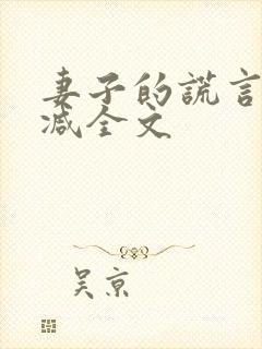 妻子的谎言无删减全文