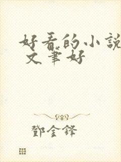 好看的小说推荐 文笔好封面