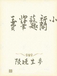 王悍苏祈小说免费笔趣阁