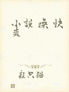 小说 操 快 爽封面