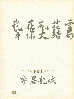 我在风花雪月里等你大结局封面