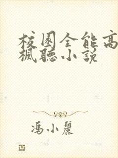 校园全能高手季枫听小说封面