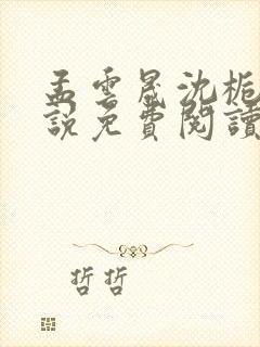 孟云晟沈栀意小说免费阅读最新章节