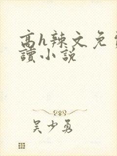 高h辣文免费阅读小说