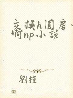 交换h圆房～嗯啊np小说