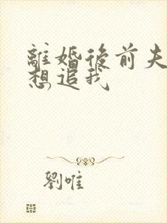 离婚后前夫总是想追我封面
