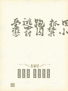 受逃跑 抓回 惩罚囚禁小说封面