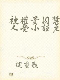 被权贵囚禁的美人受小说免费阅读下