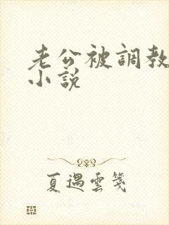 老公被调教男奴小说