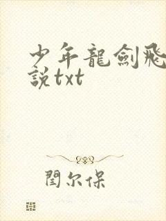 少年龙剑飞 小说txt