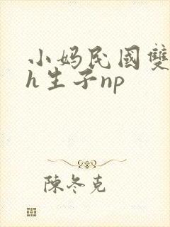 小妈民国双性高h生子np