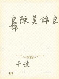 良陈美锦良陈美锦