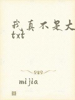 我真不是大佬 txt