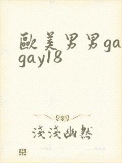 欧美男男gaygay18