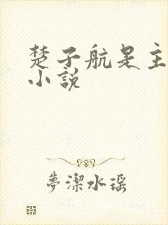 楚子航是主角的小说