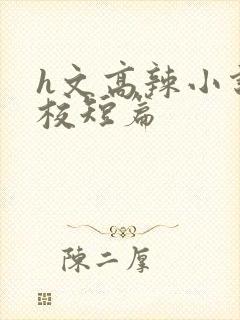 h文高辣小说学校短篇