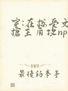 穿:在总受文里抢主角攻np