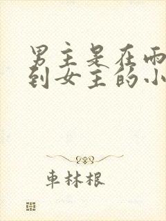 男主是在雨天捡到女主的小说