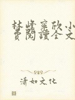 林峰宁欣小说免费阅读全文最新章节第1201封面