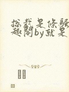 总裁是条骚狗笔趣阁by就是这样