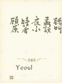 顾时夜孟听陆沉原著小说叫什么
