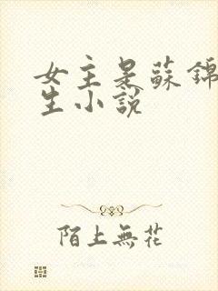 女主是苏锦的重生小说