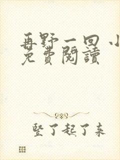 再野一回 小说免费阅读封面