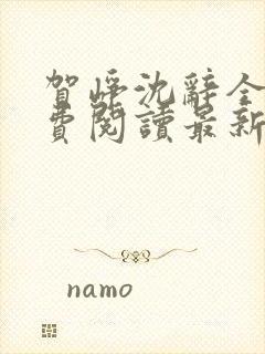 贺峥沈辞全文免费阅读最新章节