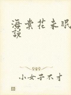 海棠花未眠 小说