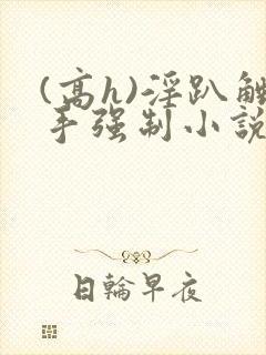 (高h)淫趴触手强制小说封面