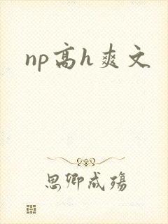 np高h爽文