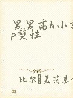 男男高h小说np双性