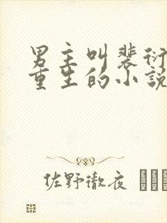 男主叫裴衍女主重生的小说