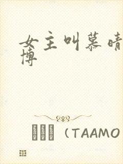 女主叫慕晴夜君博