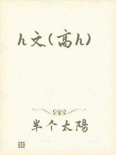 h文(高h)