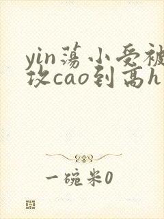 yin荡小受被攻cao到高h