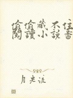 偷偷藏不住免费阅读小说番外封面