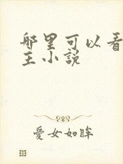 哪里可以看双男主小说封面