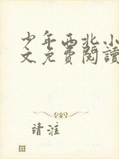 少年西北小说全文免费阅读无弹窗