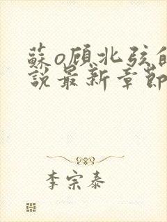 苏o顾北弦的小说最新章节免费阅读封面