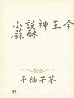 小说神王令秦天,苏酥